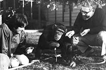 Гарднер (Gardner) Беатрис